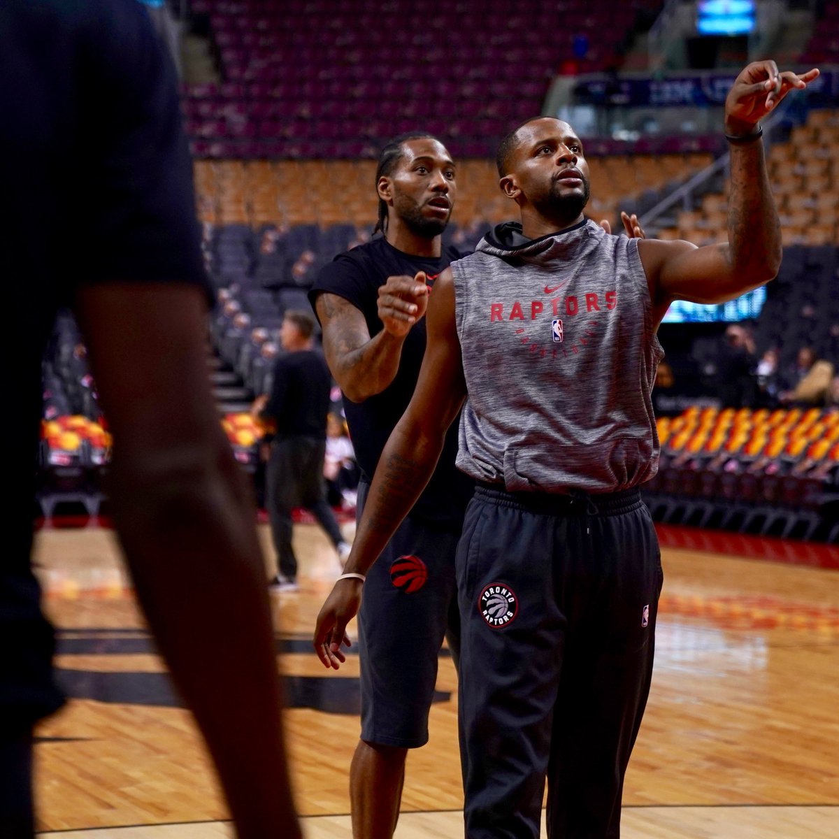 的直接回应 的直接回应